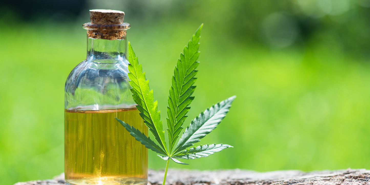CBD and THC in Hemp: What They Are and Why It Matters
