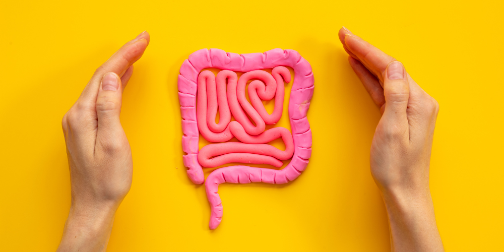 How Hemp Supports Gut Health and Digestion