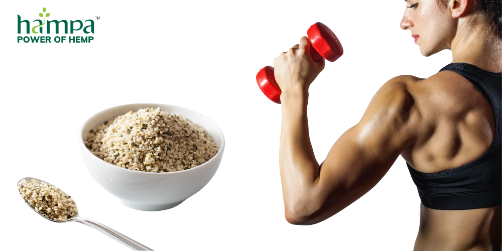 Why Hemp Hearts Are the Perfect Protein Source for Vegetarians and Vegans