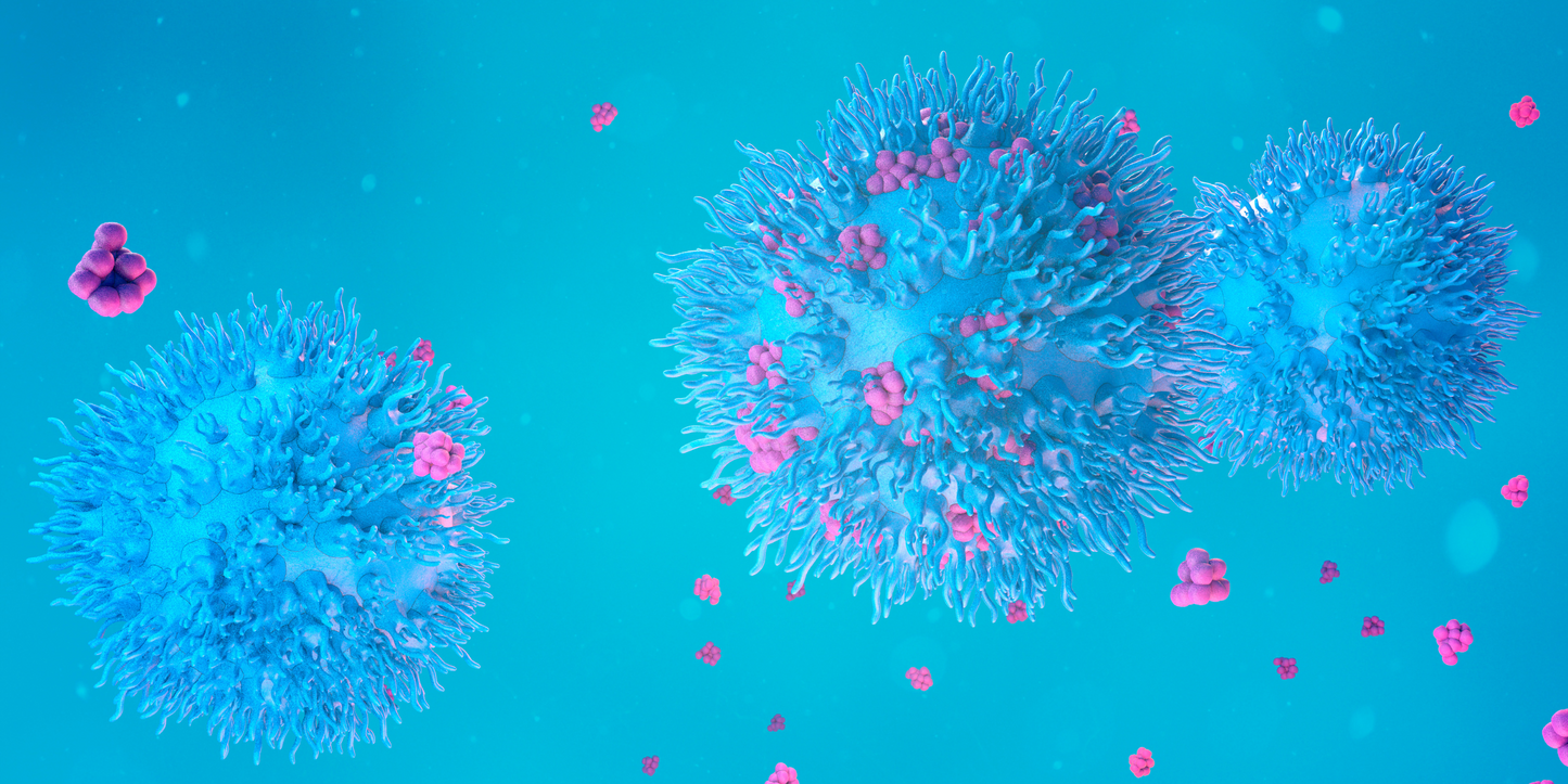 The Science Behind Hemp Protein and Its Role in Cell Regeneration