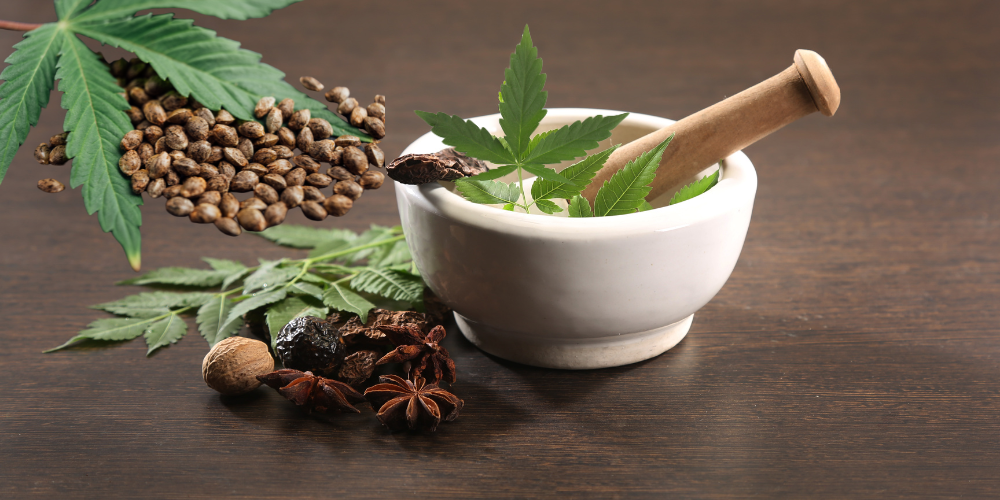 Hemp in Ayurveda: The Ancient Wisdom of Plant-Based Healing