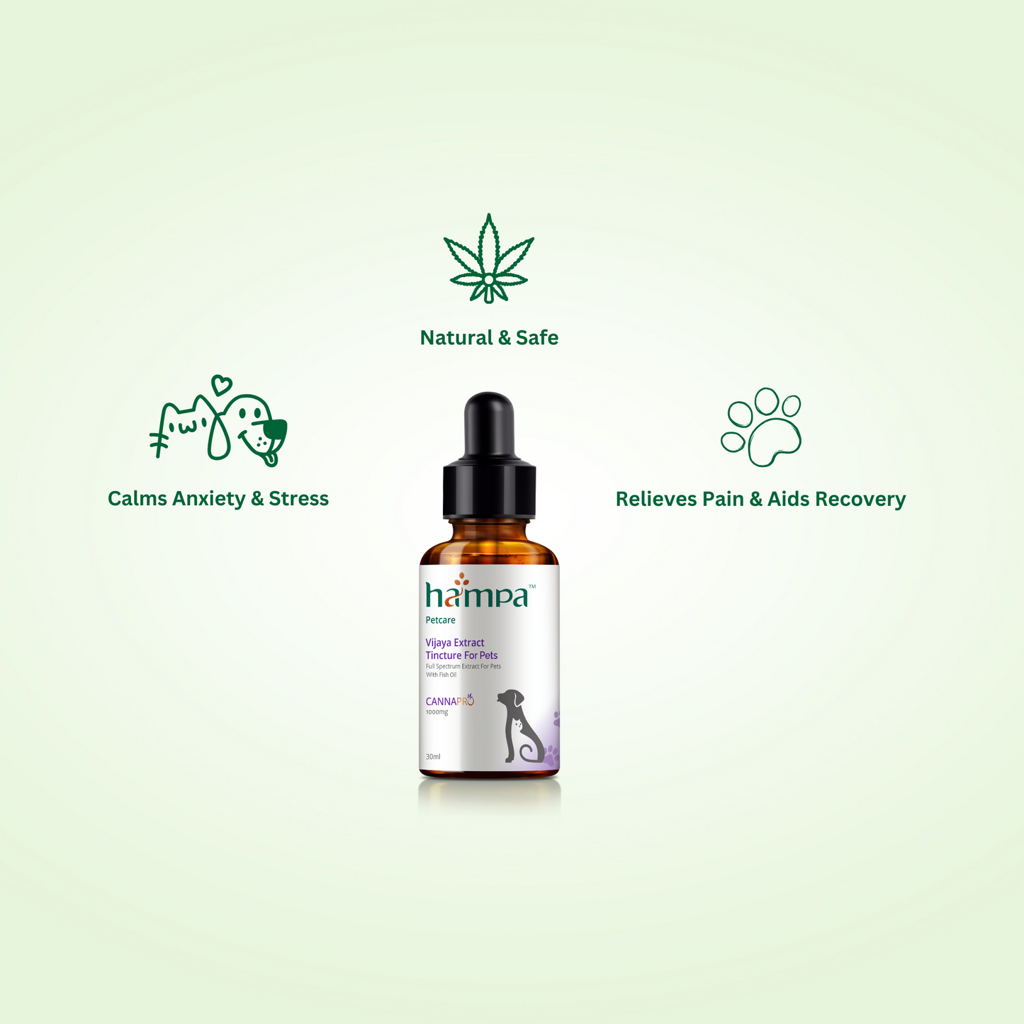 Natural Anxiety Relief for Dogs & Cats - Vijaya