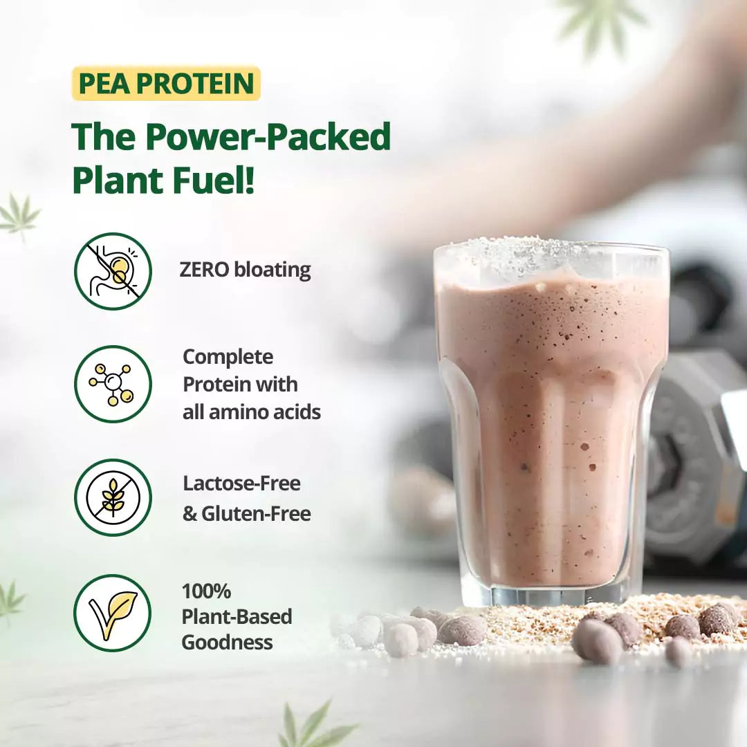 Hemp Protein Powder - Coffee Flavour