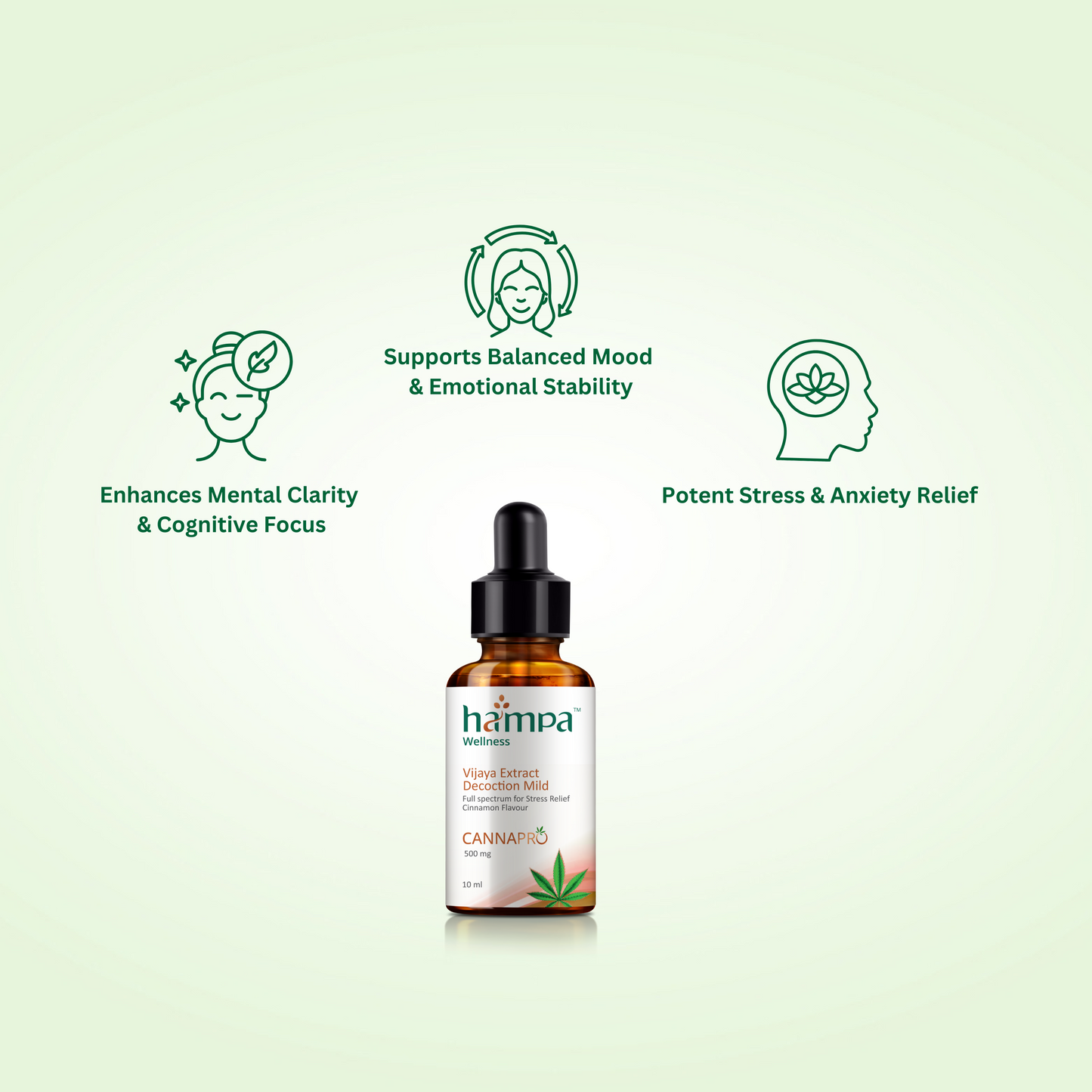 Hemp-Based Ayurvedic Tincture - Mild Vijaya Formula