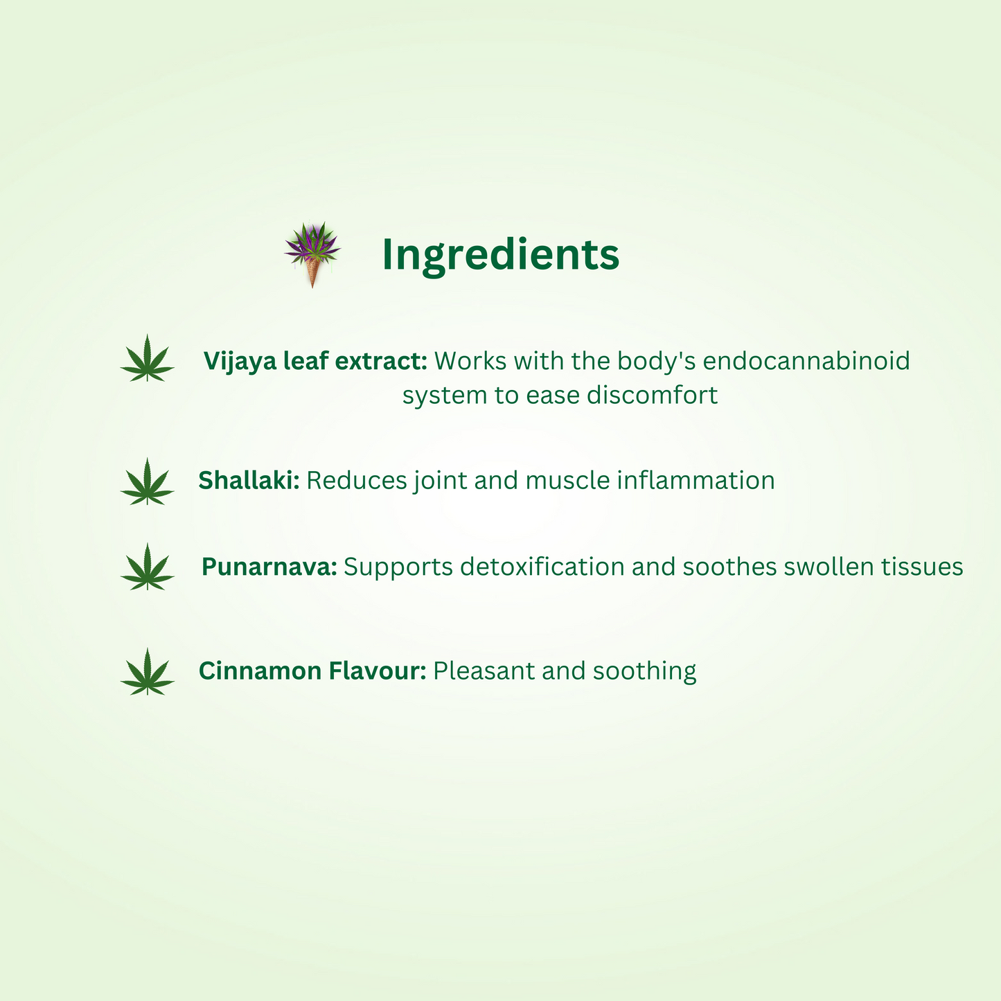 Vijaya Strong Extract - 10ml Natural Pain Relief Formula