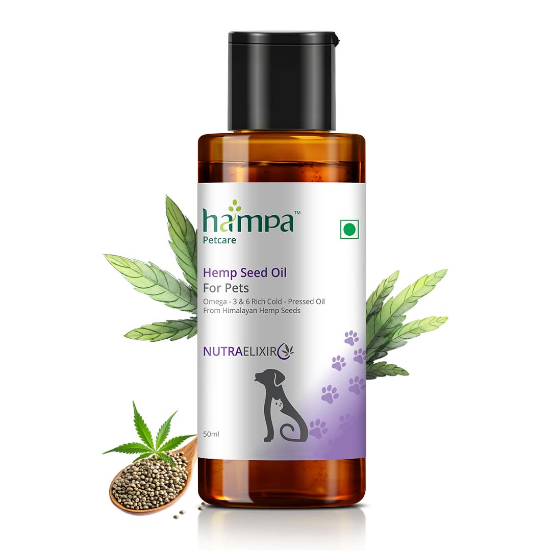Hampa Hemp Seed Oil for Pets - 50ml Bottle