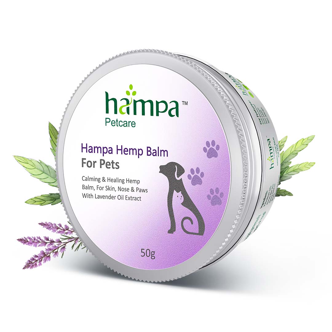 Hampa Hemp Balm for Pets - Paw & Nose Care