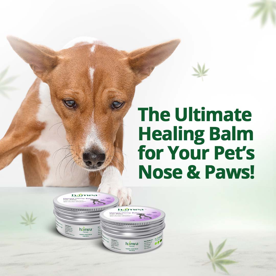 Hampa Hemp Balm - Moisturizer for Dogs & Cats