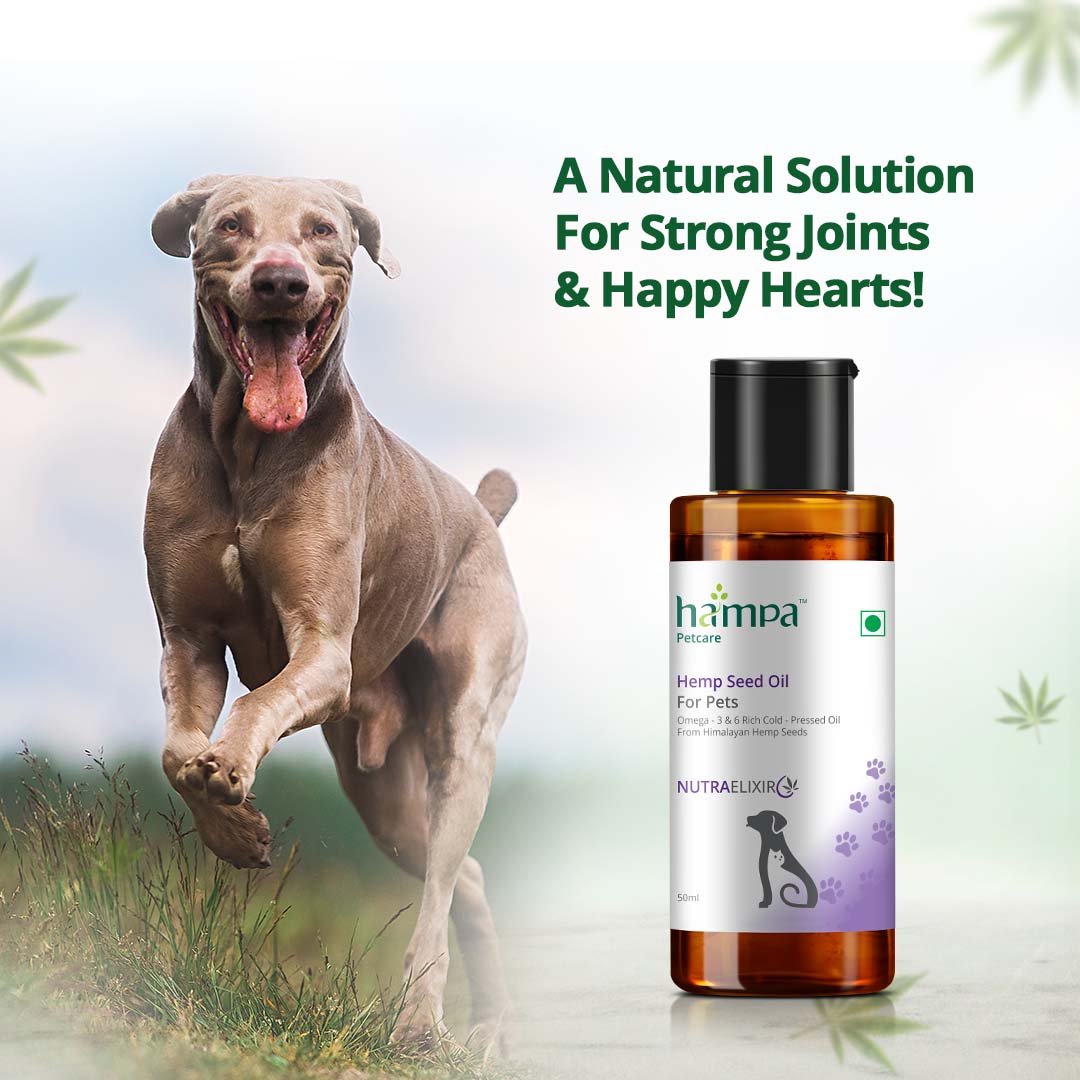 Natural Joint & Skin Support - Pet Hemp Oil