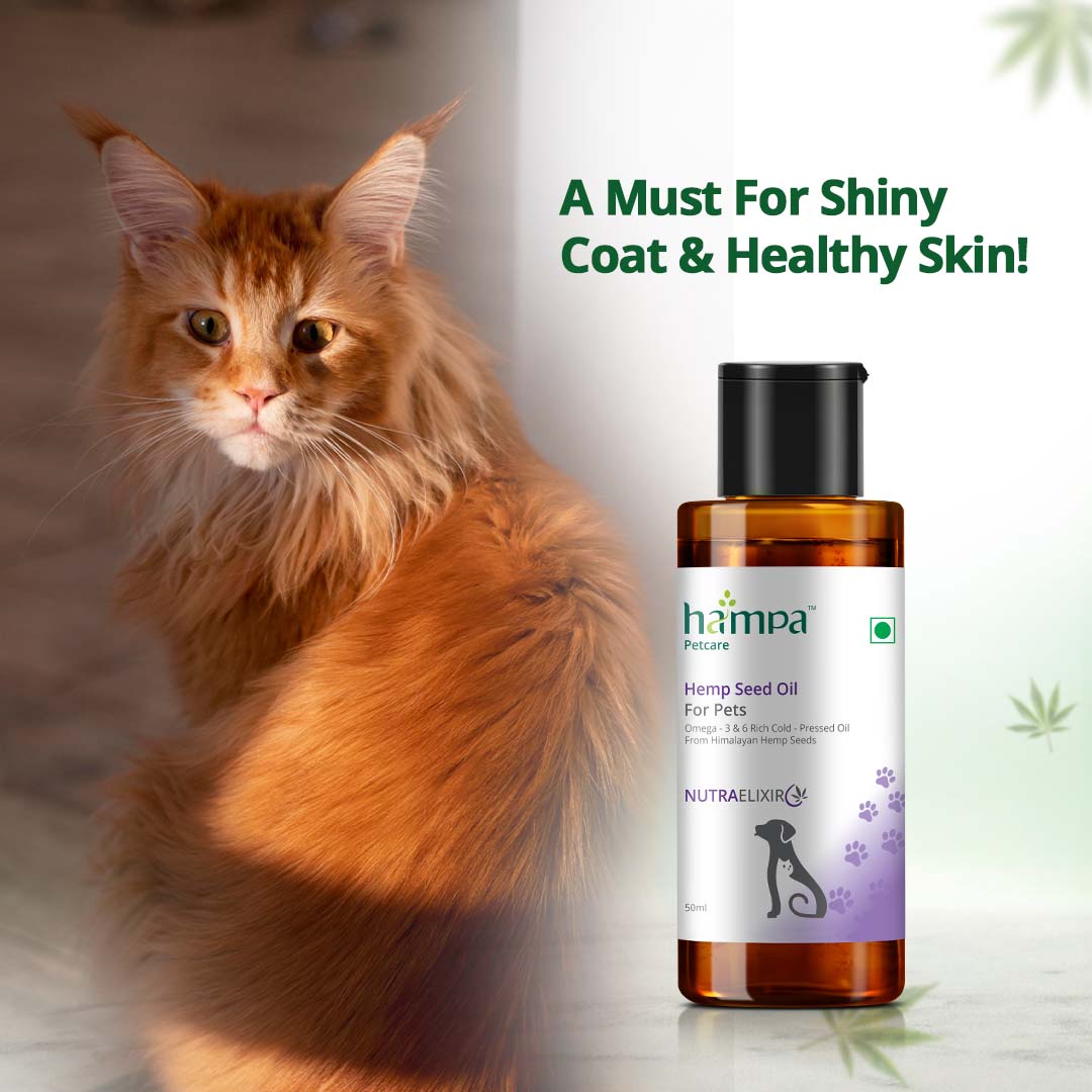 Hemp Oil Supplement for Pets - Hampa Wellness