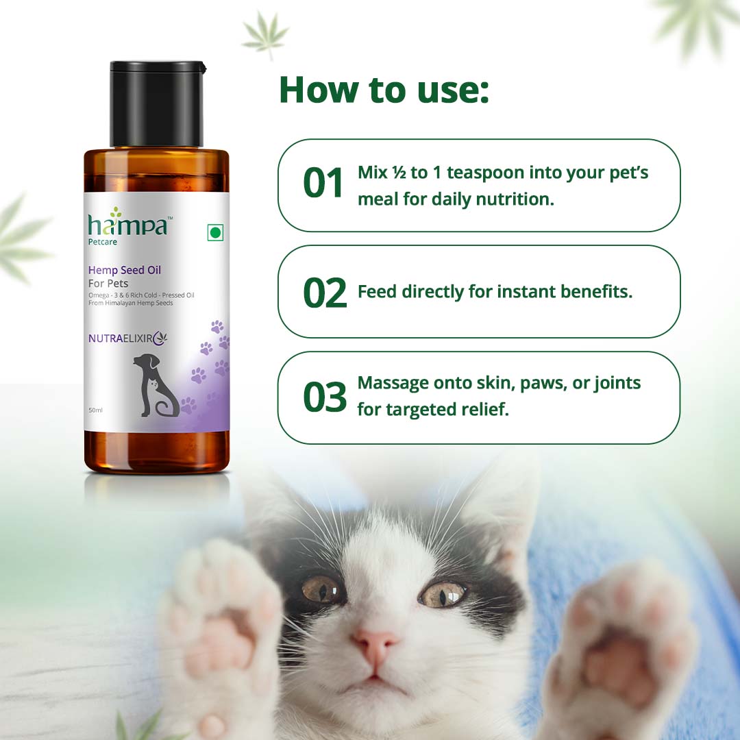 100% Vegan Hemp Oil - Safe for Pet Health