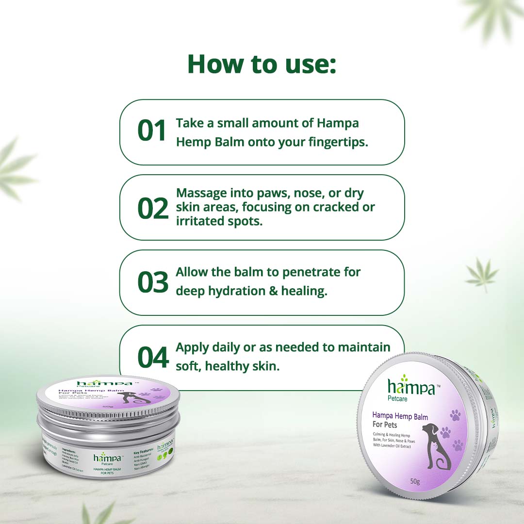 Organic Hemp Balm - Skin Protection for Pets