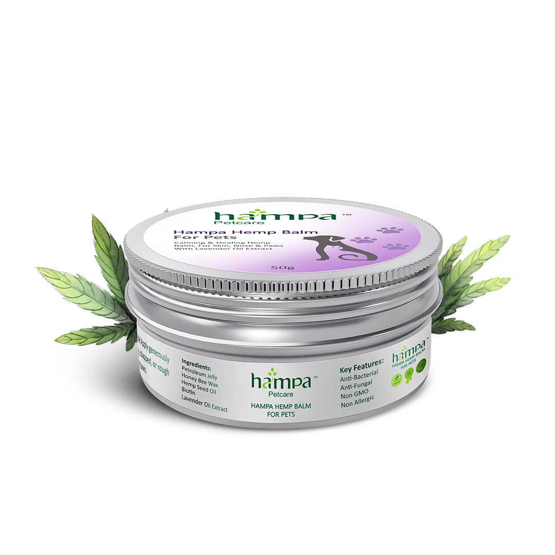 Veterinary Approved Hemp Balm - Calm Itchy Pet Skin