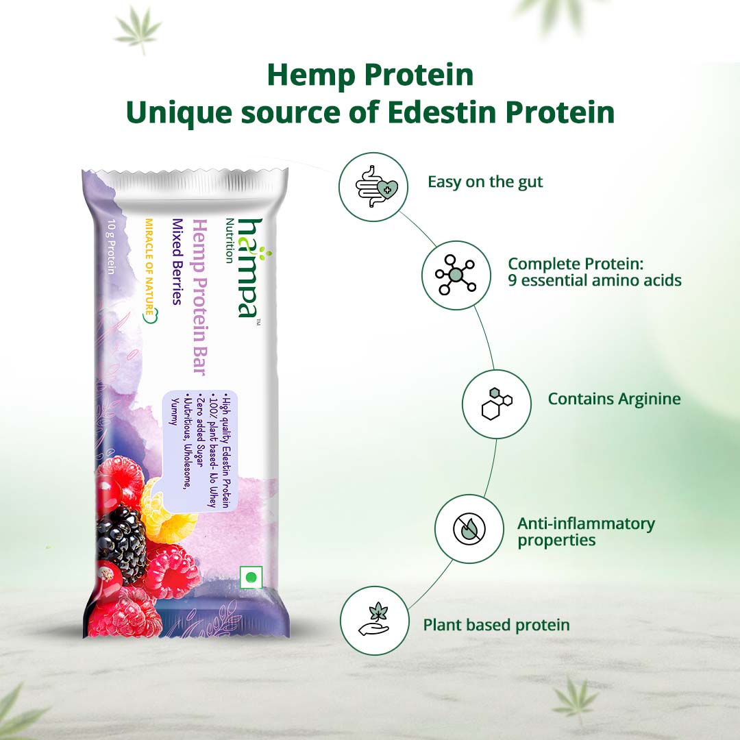 Hemp Protein Bar - Mixed Berries