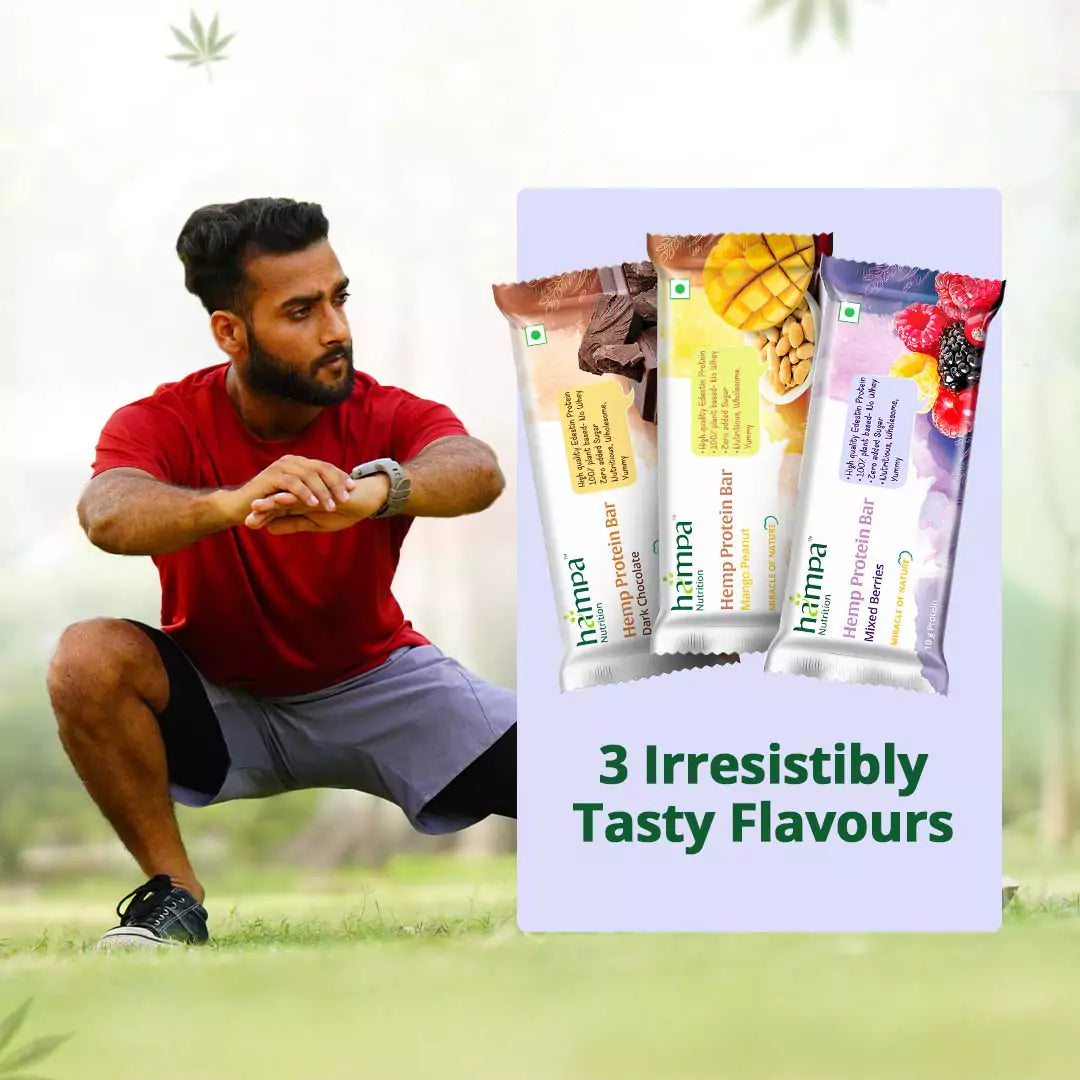 Hemp Protein Bar - Mixed Berries