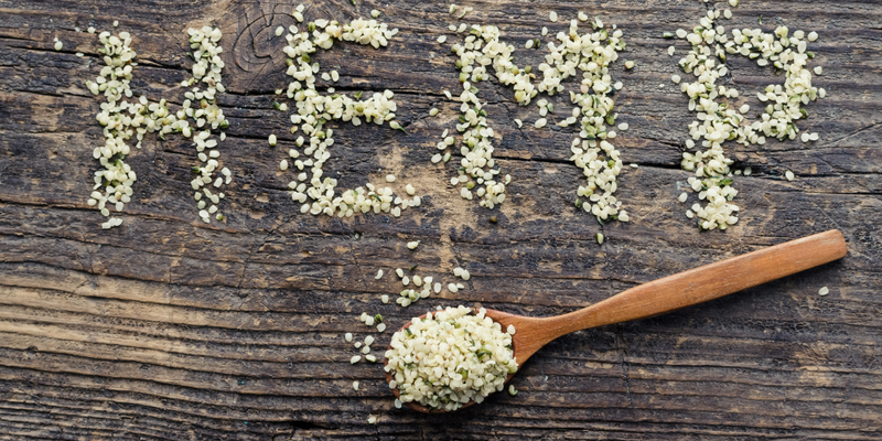 How Hemp Protein Supports Muscle Recovery and Strength