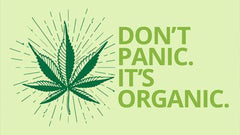 Myths around Hemp