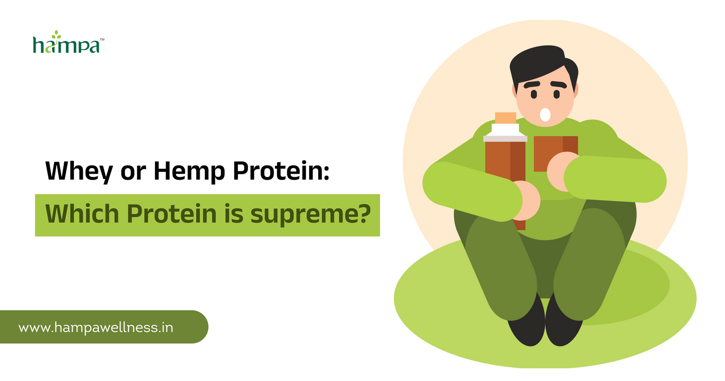 Why Choose Hemp Protein Powder Over Whey Protein?