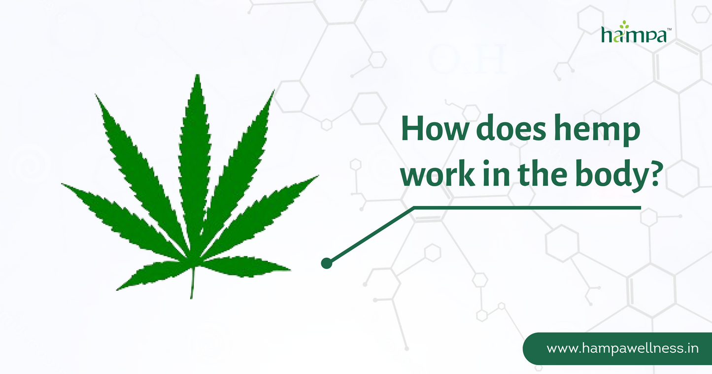 Hemp - How does it work?