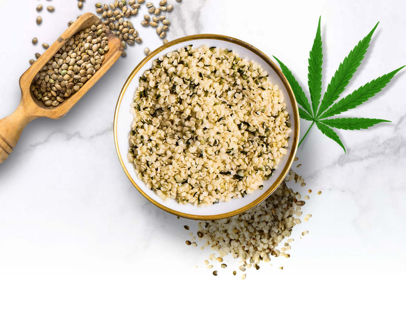 Omega-3 and Omega-6 Balance: The Nutritional Gap Most Modern Diets Ignore