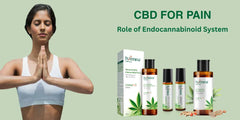 How CBD Helps with Pain: The Role of the Endocannabinoid System