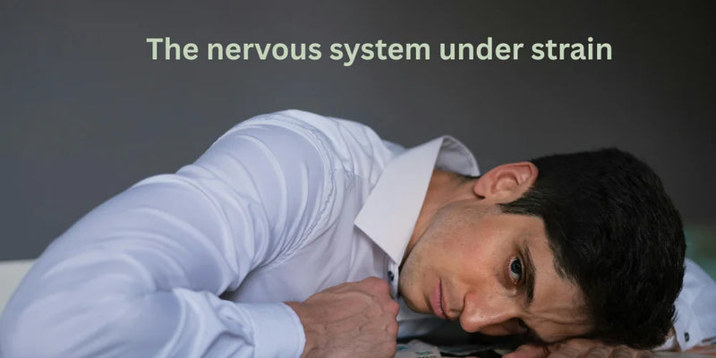 Rising Stress in Urban India: The Role of the Endocannabinoid System