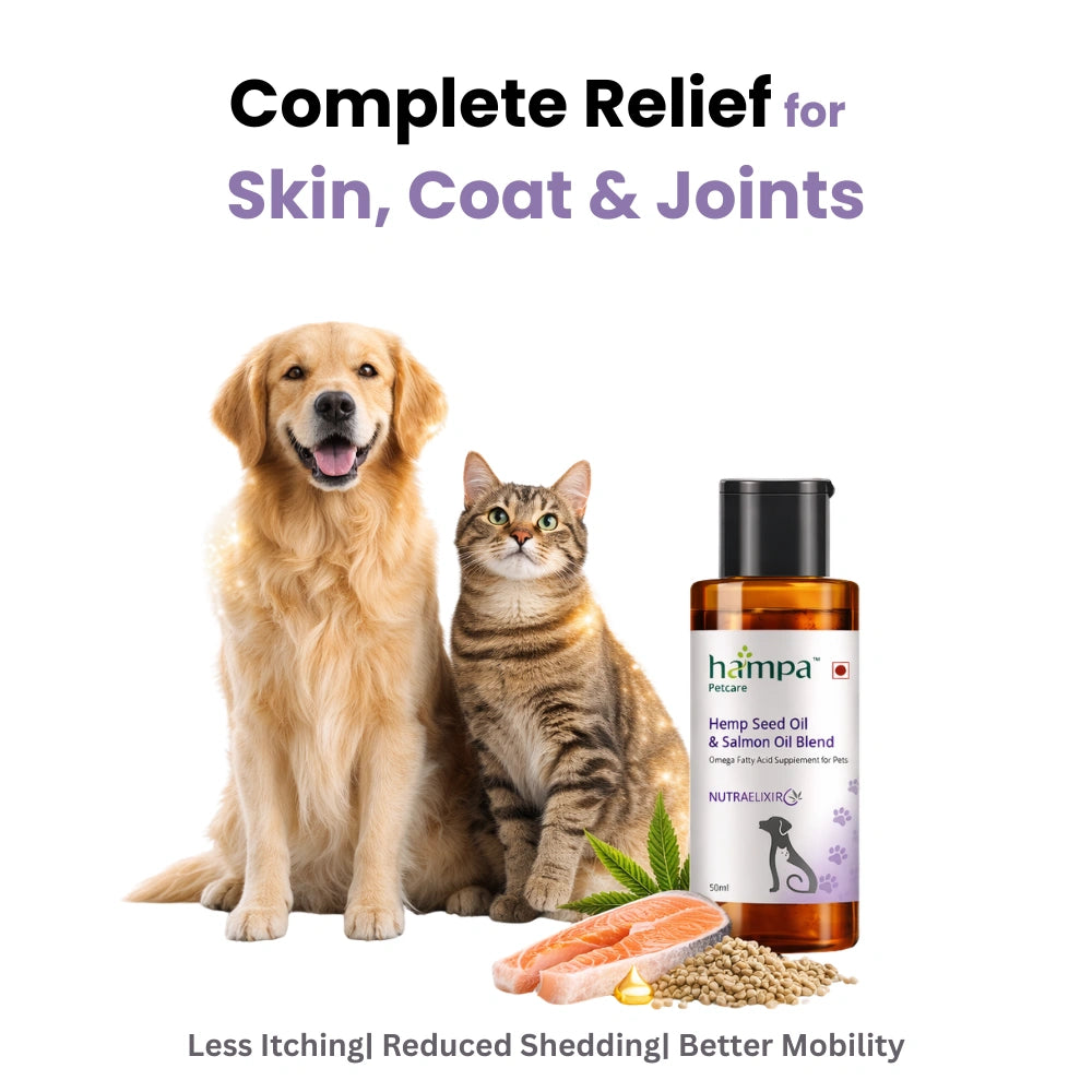 
                  
                    Hemp Seed Oil & Salmon Oil Blend
                  
                