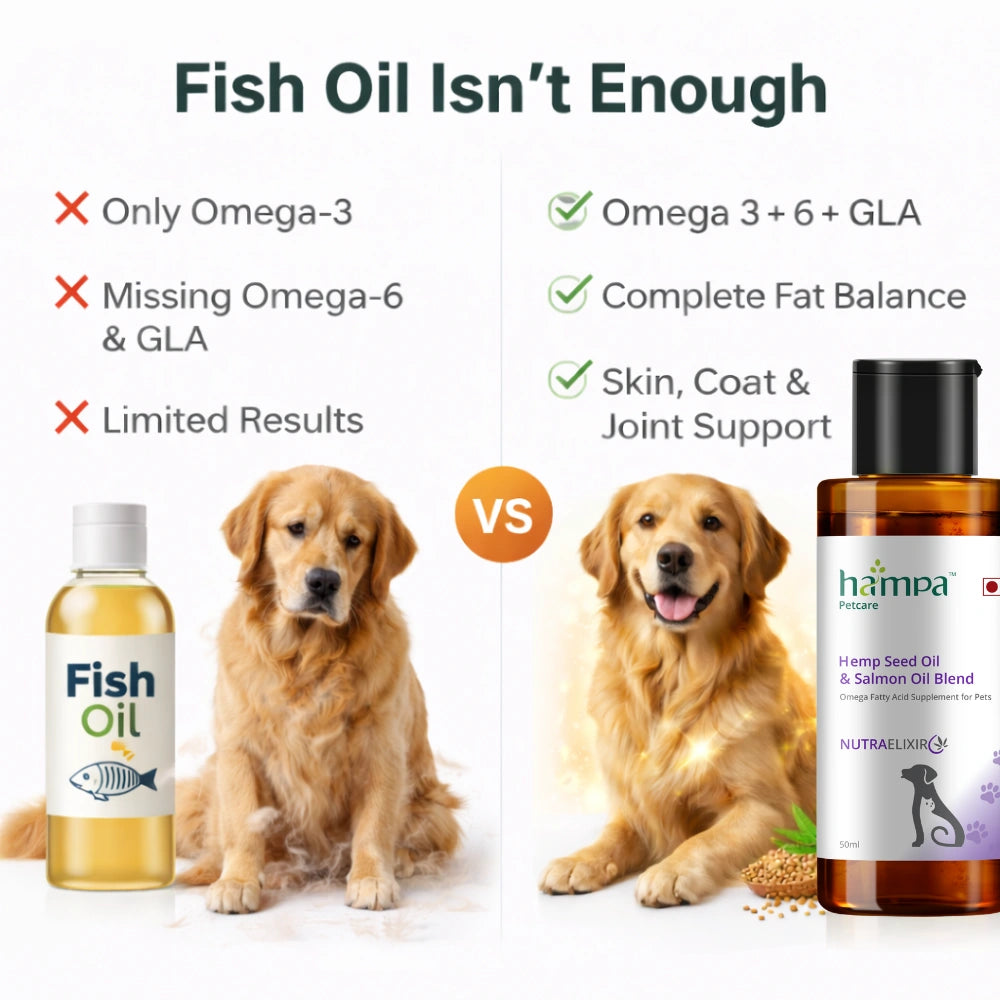 
                  
                    Hemp Seed Oil & Salmon Oil Blend
                  
                