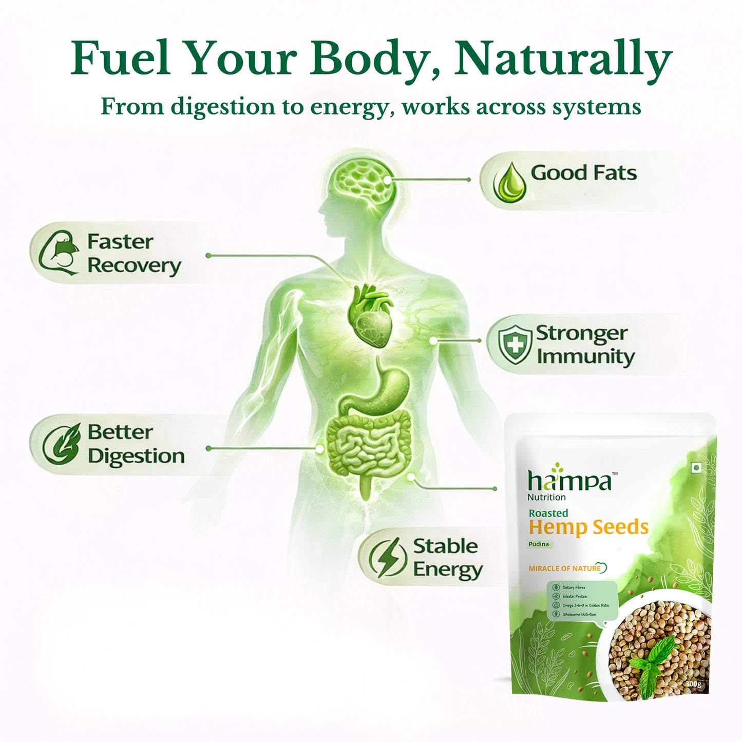 
                  
                    Roasted Hemp Seeds – Pudina
                  
                