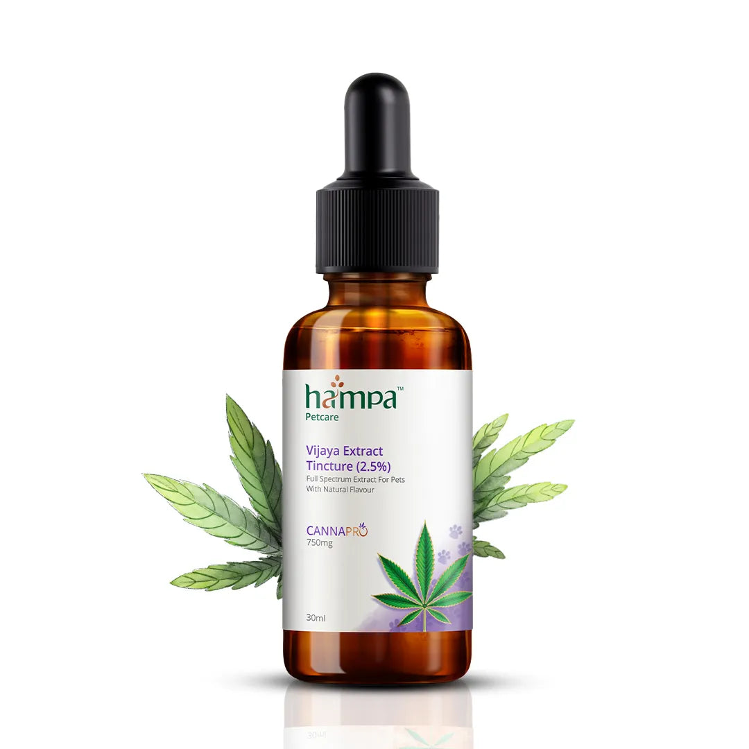 Vijaya Extract Tincture (2.5%) for Pets 30ml