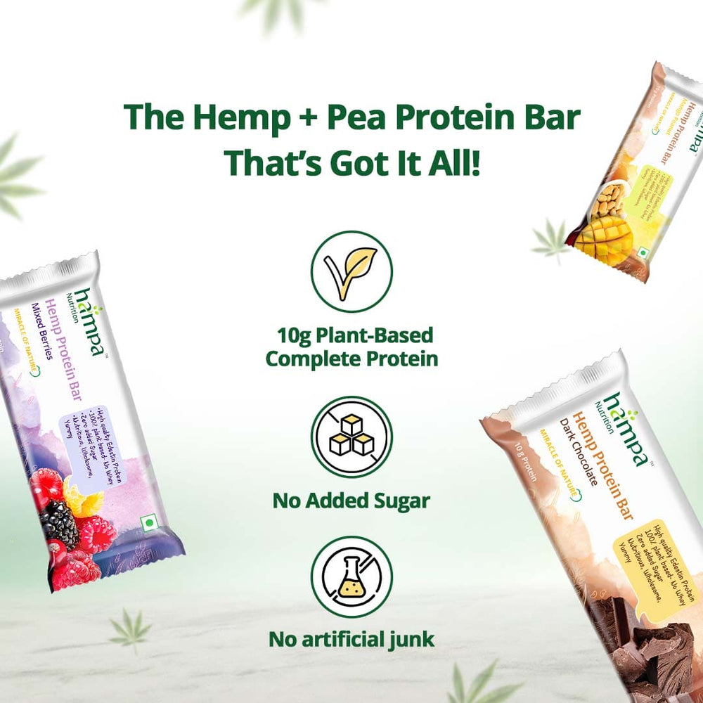 
                  
                    Hampa Hemp Protein Bar 50g - Mixed Flavours - Pack of 3
                  
                