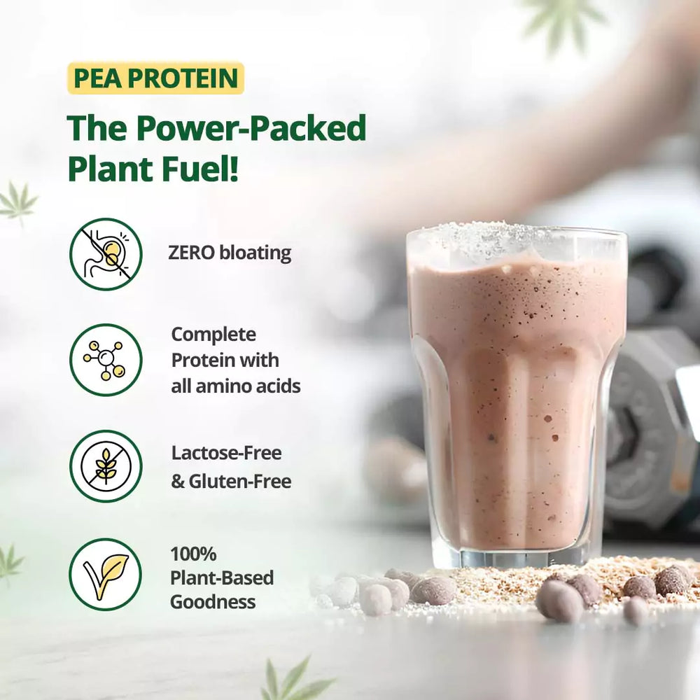 
                  
                    Hemp Protein Powder - Chocolate Flavour
                  
                