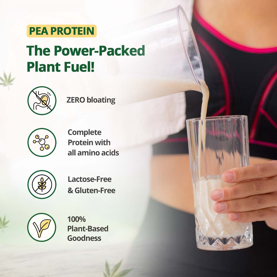 
                  
                    Hemp Protein Powder - Vanilla Flavour
                  
                