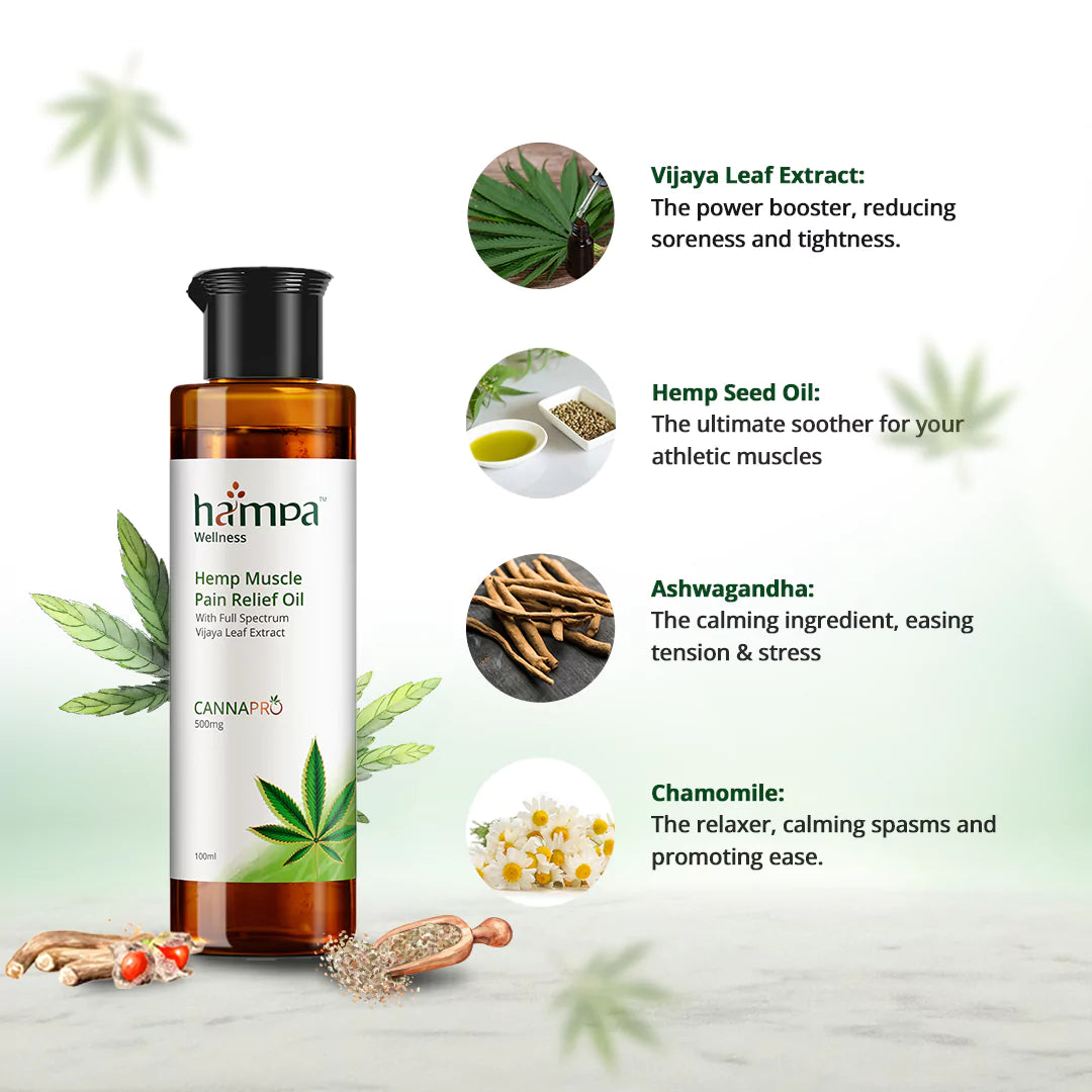 
                  
                    Hemp Muscle Pain Relief Oil – 100ml
                  
                