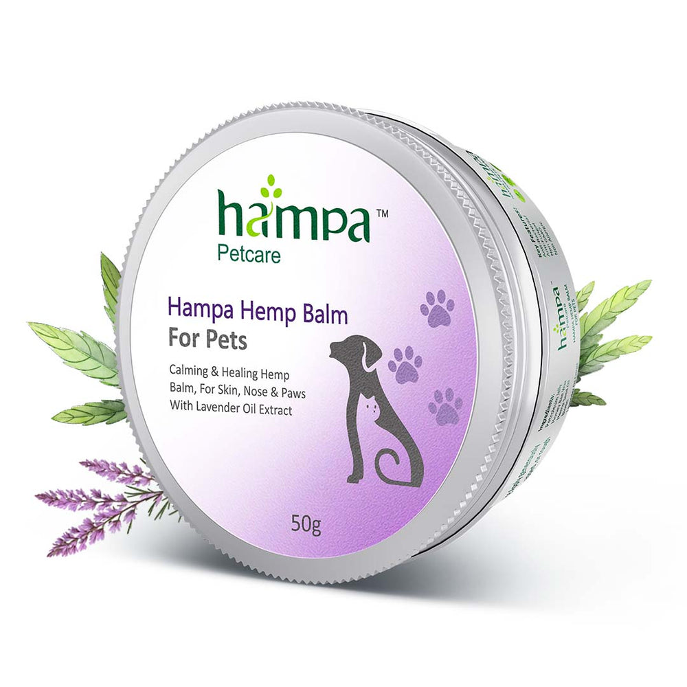 
                  
                    Hemp Balm for Pets - 50g
                  
                