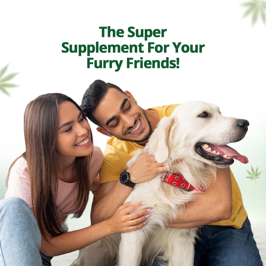 Cold-Pressed Hemp Oil for Dogs and Cats