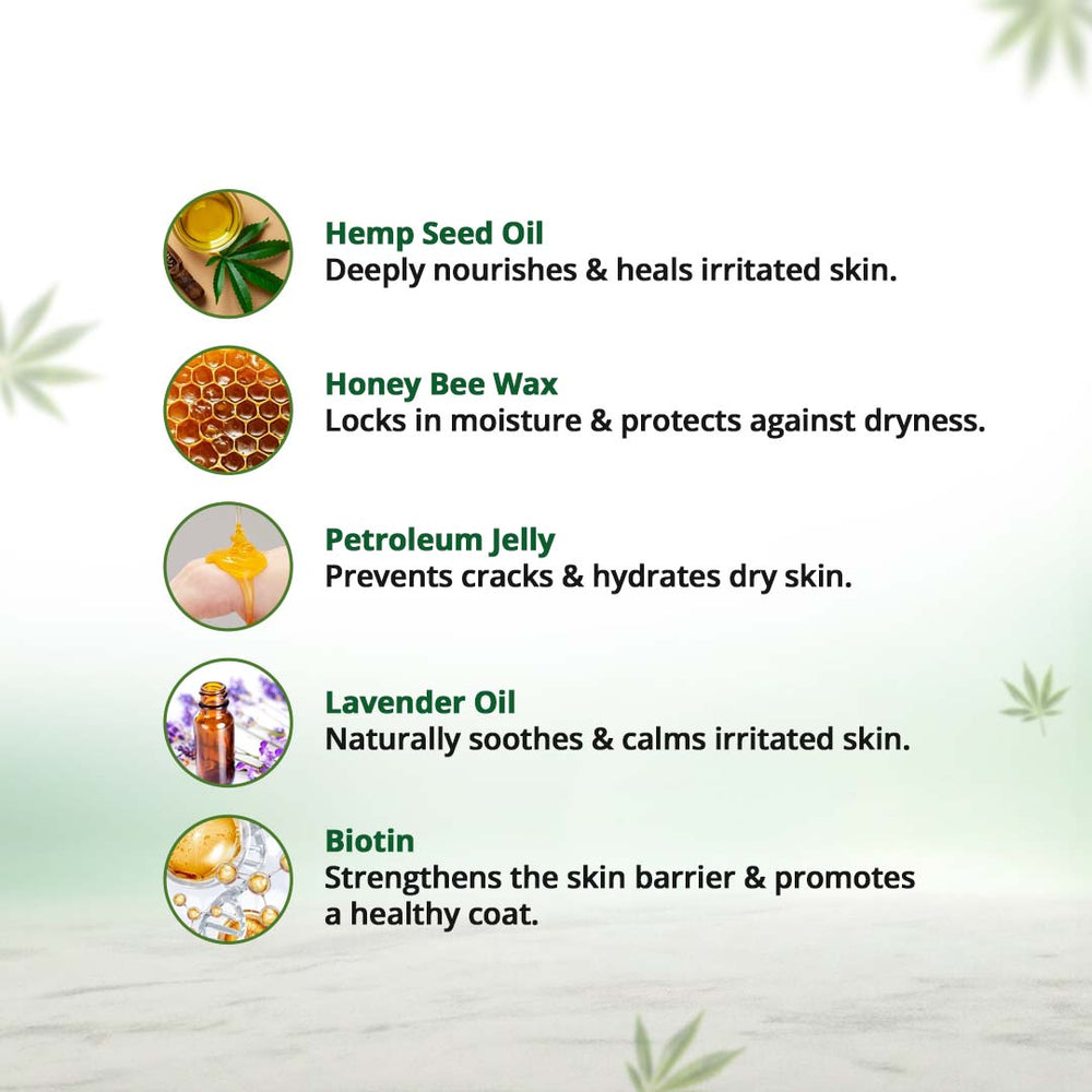 
                  
                    Hemp Balm for Pets - 50g
                  
                
