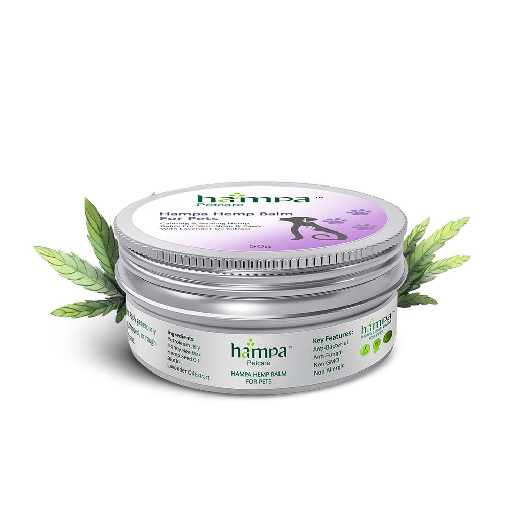 
                  
                    Hemp Balm for Pets - 50g
                  
                