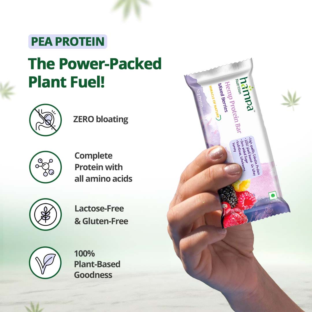 
                  
                    Hampa Hemp Protein Bar 50g - Mixed Berries
                  
                