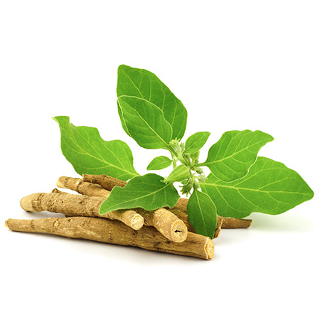Ashwagandha 

