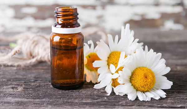 Chamomile Oil