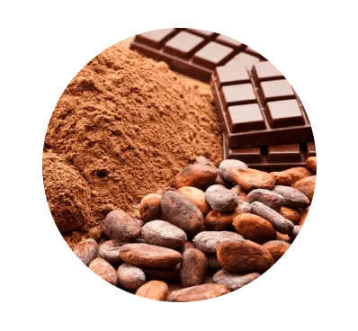 Cocoa Powder