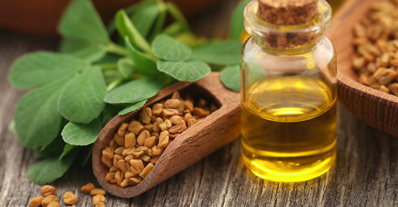 Fenugreek Seeds