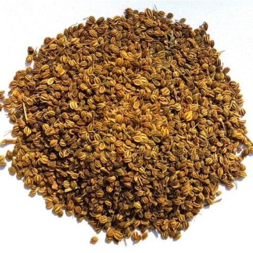 Khurasani Ajwain (Hyocyamus niger) 
