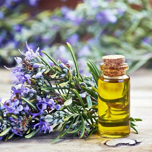 Rosemary Flower Oil