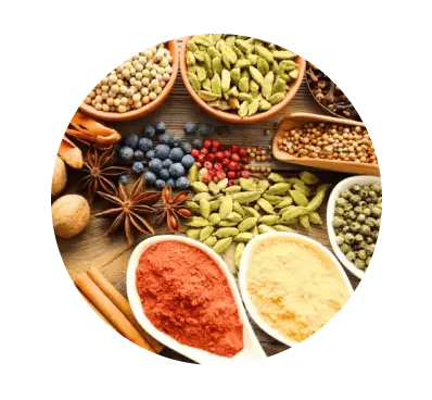 Spice & Spice Extract