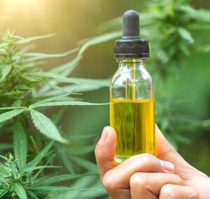Vijaya (Full Spectrum Leaf Extract)