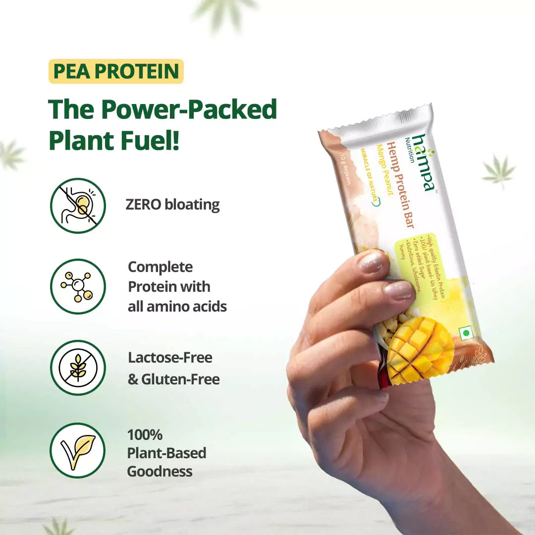 
                  
                    Hemp Protein Bar - Mango Peanut
                  
                