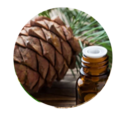 Cedarwood Oil