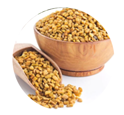 Fenugreek